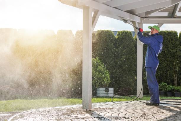 Best Roof Cleaning and Mildew Removal in Bent Creek, NC
