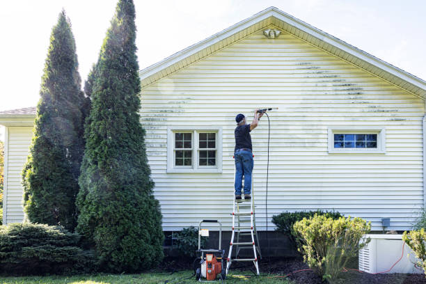 Best Soft Washing for Delicate Surfaces in Bent Creek, NC
